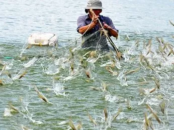 Độ mặn là gì? Ý nghĩa của độ mặn đối với nuôi trồng thủy sản và nơi mua thiết bị đo độ mặn uy tín.