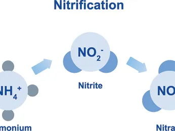 Tại Sao Cần Kiểm Tra Các Chỉ Số Nito Ở Nước Thải Đầu Vào?