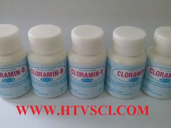 [HƯỚNG DẪN] Cách pha Cloramin B khử trùng tiêu diệt Virus