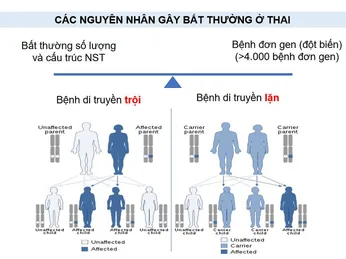 Sắp có giải pháp giúp xóa “vùng tối” về bất thường di truyền