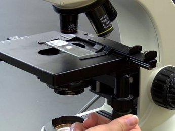 Tại sao phải dùng Dầu soi kính hiển vi?