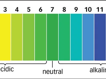 TẠI SAO CẦN KIỂM TRA ĐỘ PH CỦA NƯỚC, CÓ NHỮNG CÁCH ĐO NÀO?