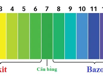 Sự khác biệt giữa giấy quỳ và giấy pH