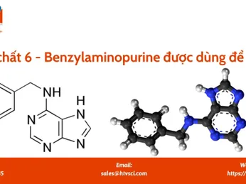 Hoạt chất 6 - Benzylaminopurine được dùng để làm gì?