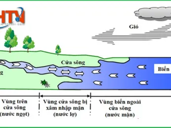 HƯỚNG DẪN CÁC BƯỚC SỬ DỤNG TỶ TRỌNG KẾ ĐỂ ĐO ĐỘ MẶN