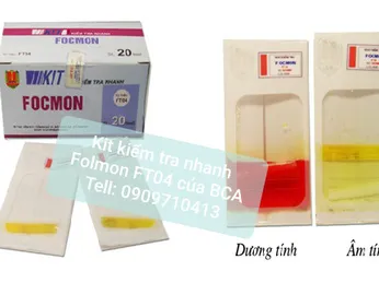 FORMOL LÀ GÌ? KIT KIỂM TRA NHANH FORMON TRONG THỰC PHẨM - FT04 GIÚP KIỂM TRA HÀM LƯỢNG FORMOL TRONG HẢI SẢN SỐNG, THỊT CÁ TƯƠI, BÁNH PHỞ, BÚN,…