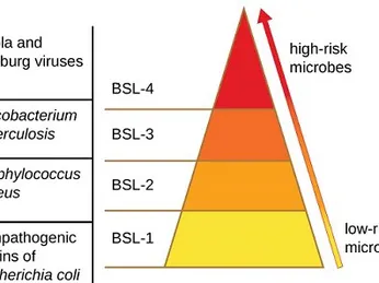 Các mức độ an toàn sinh học