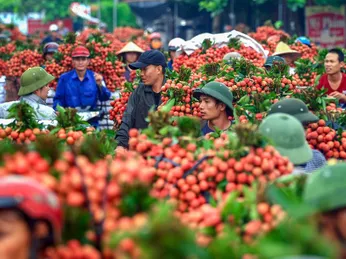 Vì sao nên bảo quản lạnh nông sản sau thu hoạch?