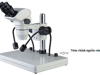 Hướng dẫn điều chỉnh và bổ sung ánh sáng cho kính hiển vi soi nổi