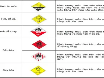 CÓ NHỮNG NỘI DUNG NÀO TRÊN PHIẾU MSDS?