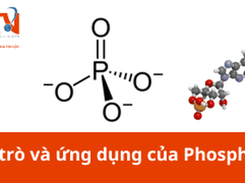  Vai trò và lợi ích của Phosphate trong sinh học, hóa học, công nghiệp và nông nghiệp