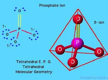 PHOTPHO TRONG NƯỚC VÀ PHƯƠNG PHÁP XÁC ĐỊNH PHOSPHATE TRONG NƯỚC BẰNG TEST NHANH