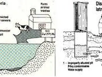 VI SINH VẬT TRONG THỰC PHẨM VÀ THỨC ĂN CHĂN NUÔI – PHƯƠNG PHÁP ĐỊNH LƯỢNG COLIFORM – KỸ THUẬT ĐẾM KHUẨN LẠC- TIÊU CHUẨN QUỐC GIA TCVN 6848:2007 (ISO  4832:2007)