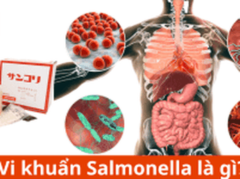 Vi khuẩn Salmonella là gì?Dấu hiệu nhận biết - Giấy thử nhanh Salmonella