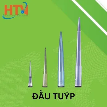 Đầu tuýp