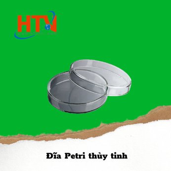 Đĩa Petri thủy tinh (Petri Disk)