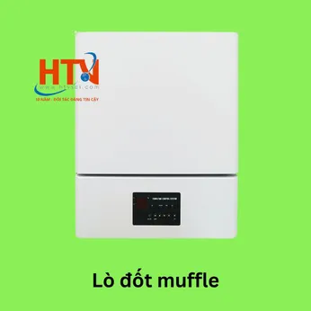 Lò đốt muffle