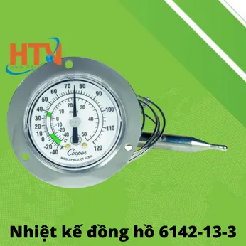 Nhiệt kế đồng hồ 6142-13-3