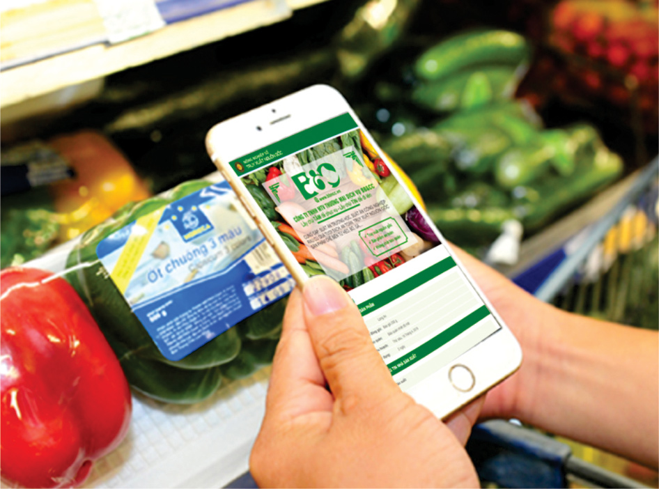 HÌNH ẢNH MINH HỌA