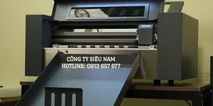 Có nên mua máy bế cắt demi giá rẻ? Những điều cần lưu ý trước khi “xuống tiền”