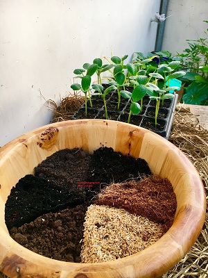 đất mùn hữu cơ đất mùn hữu cơ