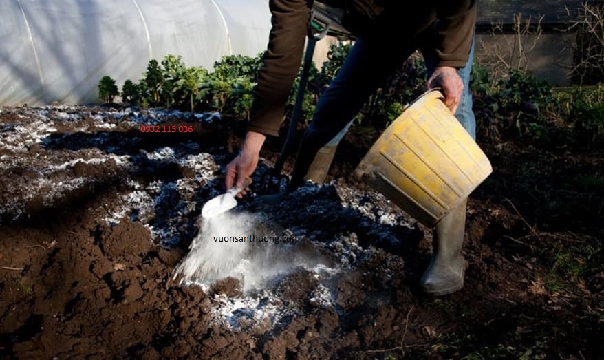 cách bón vôi cho đất cách bón vôi cho đất