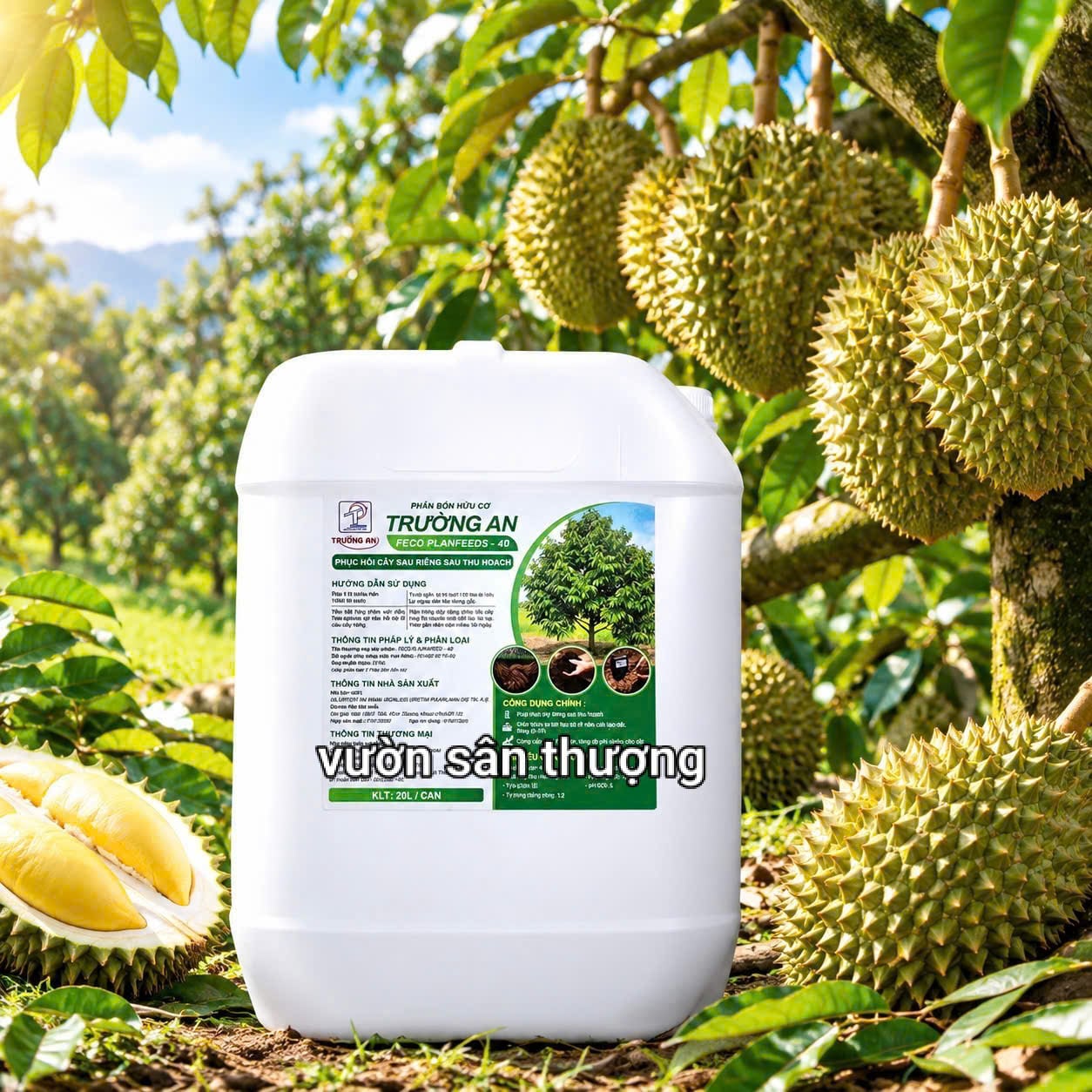 phan bon sau rieng dang nuoc phân bón sầu riêng dạng nước