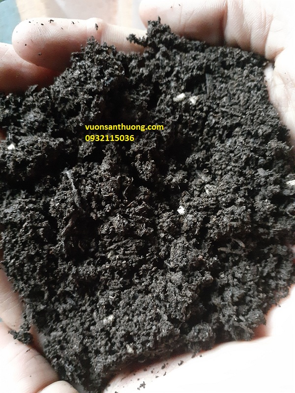 phân compost phân compost