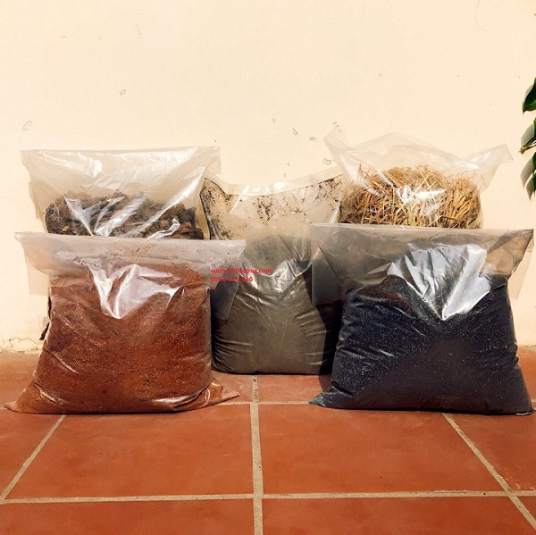 combo truyền thống combo truyền thống