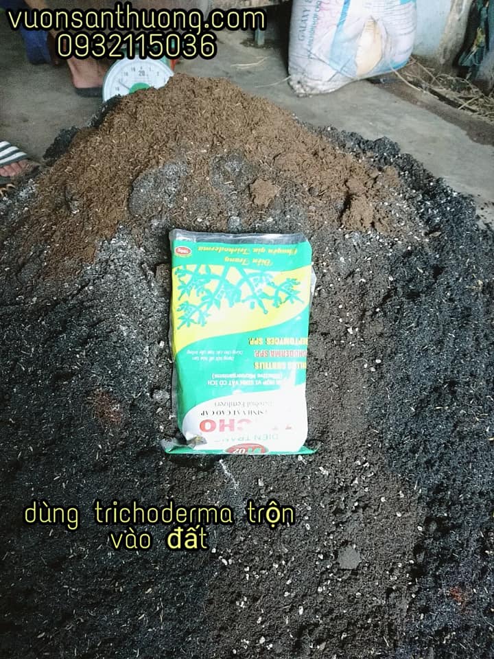 trộn Trichoderma vào đất trồng cây trộn Trichoderma vào đất trồng cây