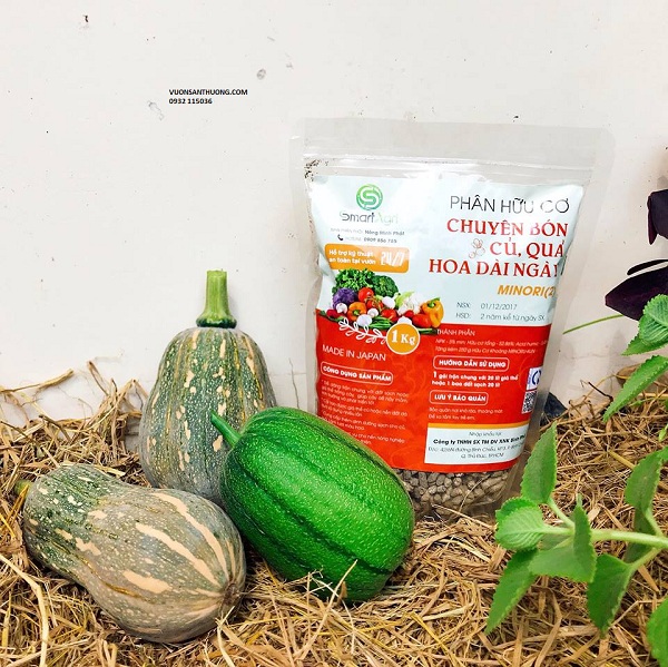 MINORI CỦ QUẢ MINORI CỦ QUẢ