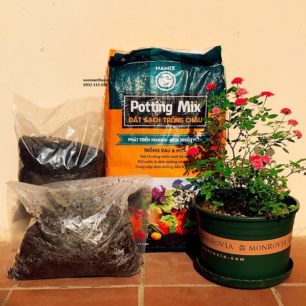 combo dành riêng cho hoa hồng combo dành riêng cho hoa hồng