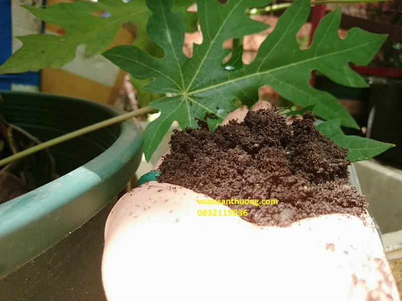 phân compost tạo mùn phân compost tạo mùn
