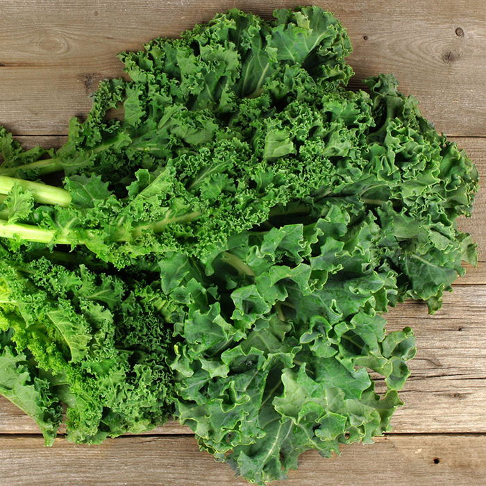 Hạt giống cải Xoăn ( cải Kale) Rado 686 gói 5g