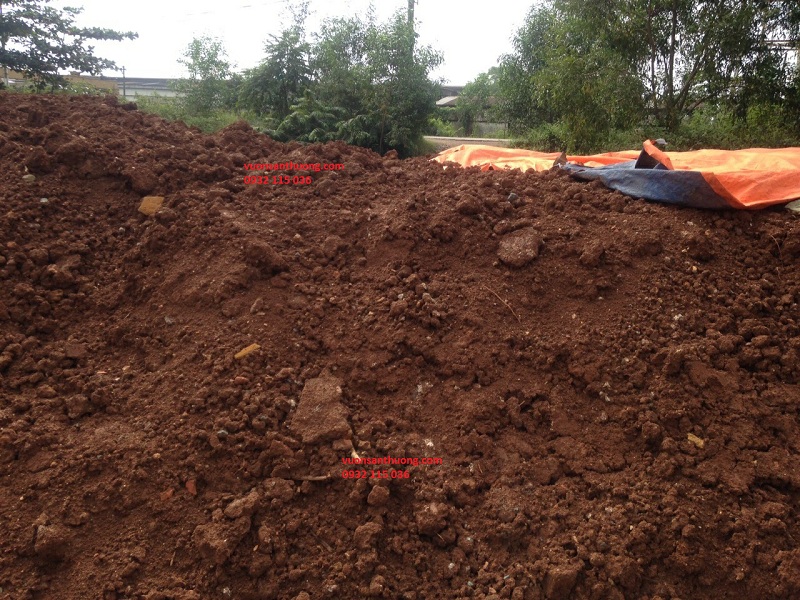 đất đỏ bazan đất đỏ bazan