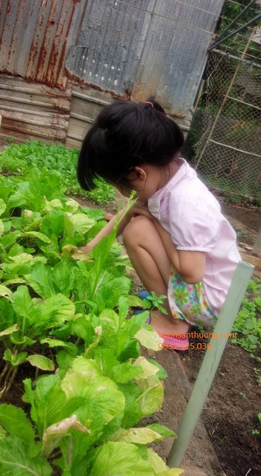 bé tự mình khám phá thế giói bé tự mình khám phá thế giói