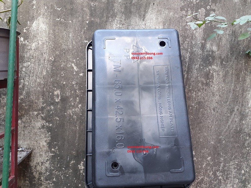 chậu chữ nhật chậu chữ nhật