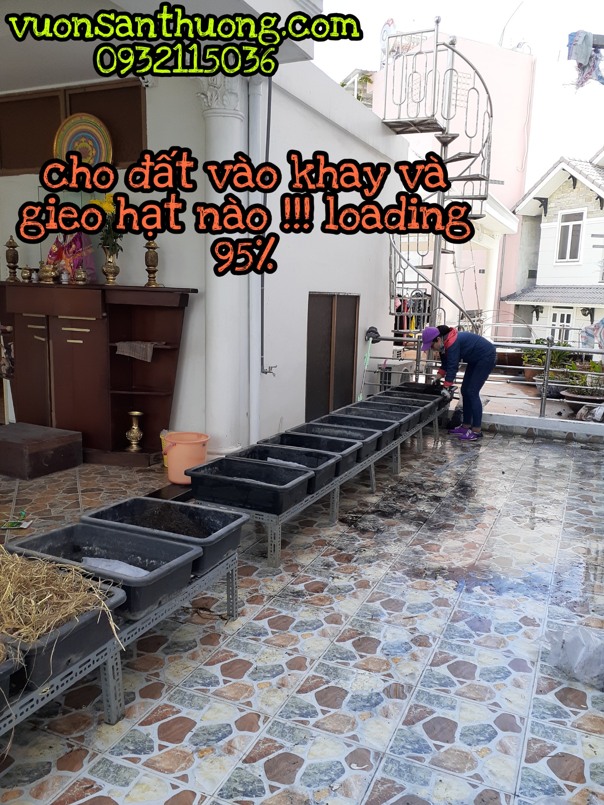 cho hạt vào khay hoàn thành 95% cho hạt vào khay hoàn thành 95%