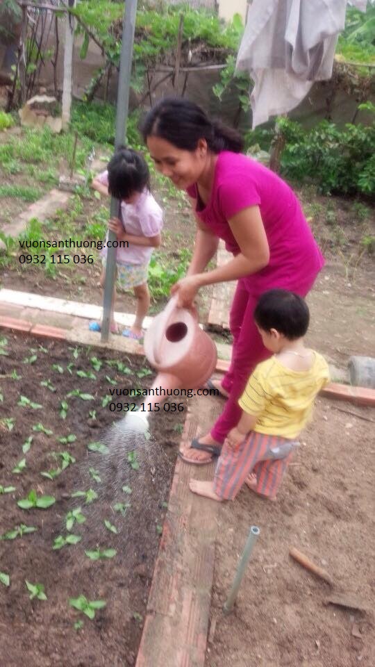 cùng bé trồng rau hữu cơ cùng bé trồng rau hữu cơ