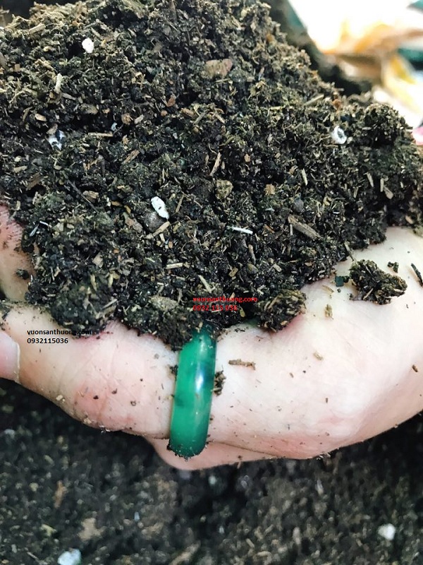 đất chuyên dụng dành riêng cho hoa hồng đất chuyên dụng dành riêng cho hoa hồng