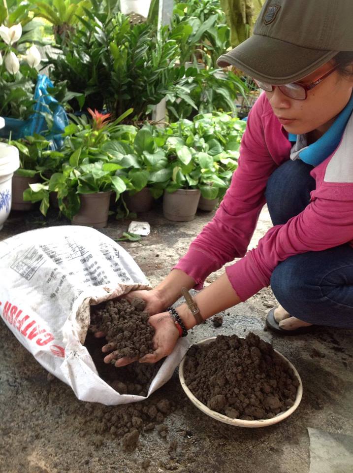 đất thịt nguyên bản đất thịt nguyên bản