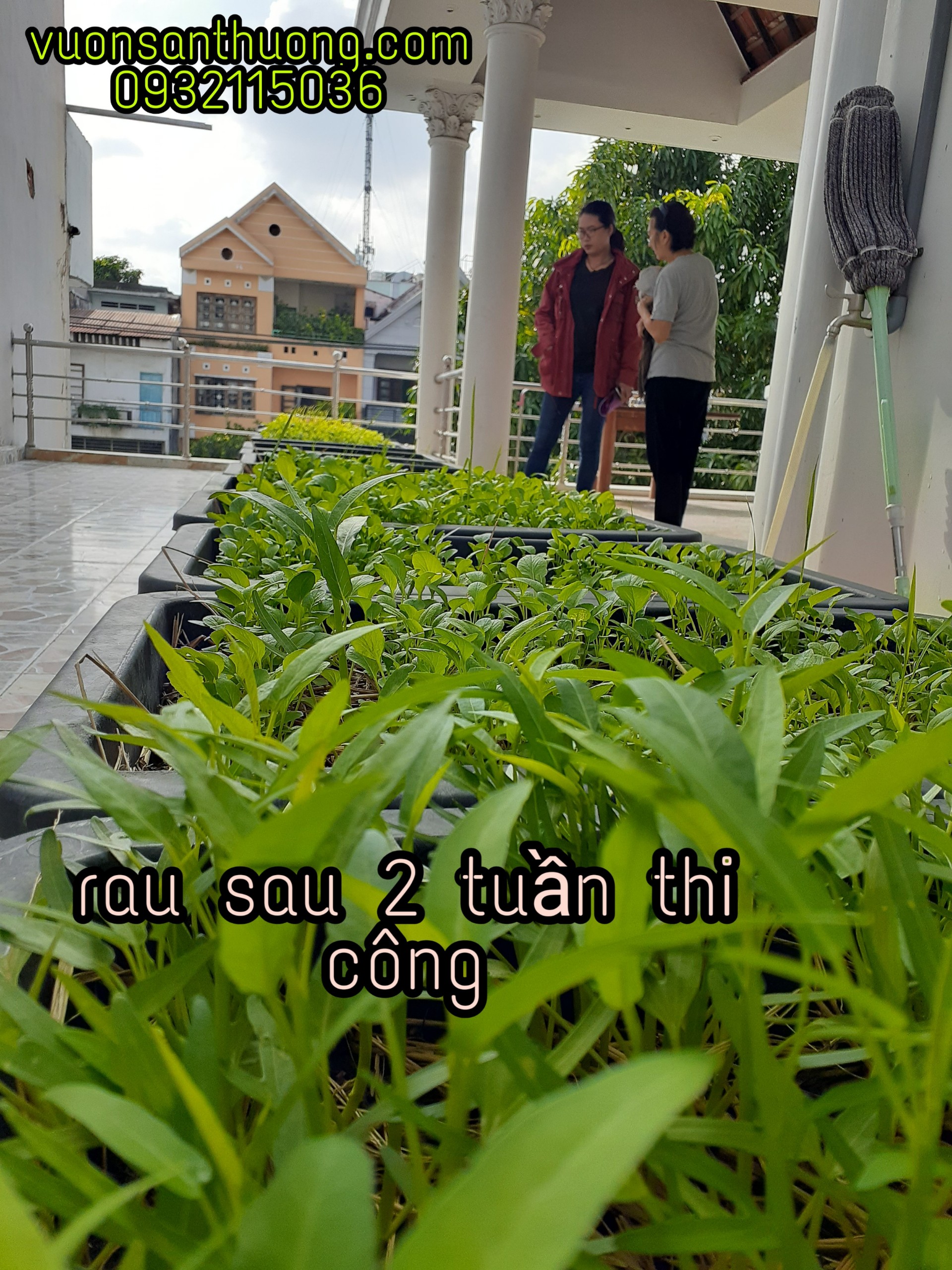 hướng dẫn thêm cho khách chăm sóc theo hướng hữu cơ hướng dẫn thêm cho khách chăm sóc theo hướng hữu cơ