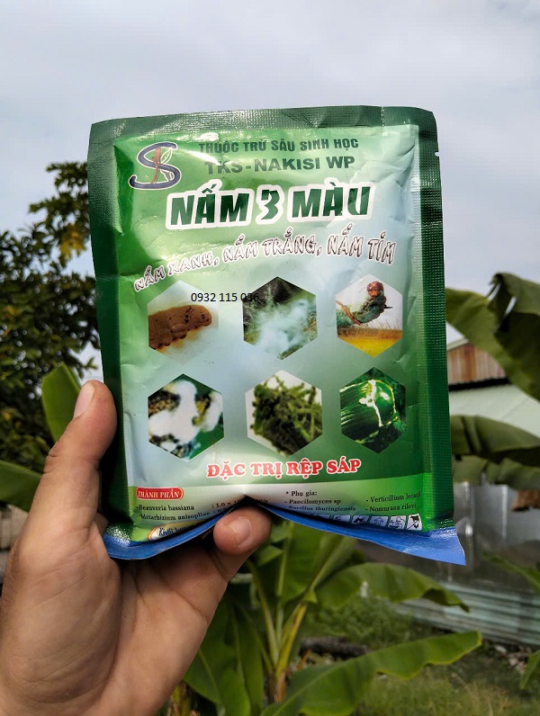NẤM 3 MÀU