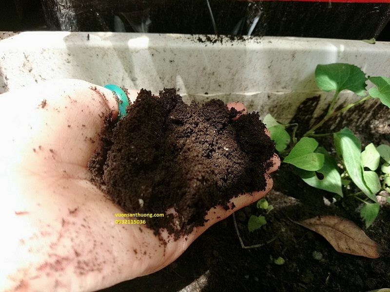 phân compost phân compost