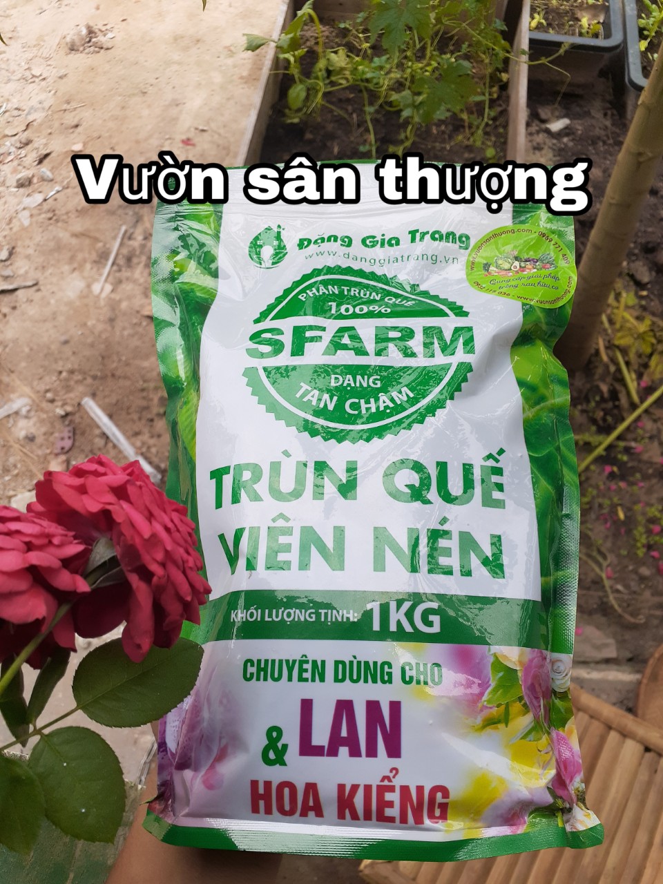 phân trùn quế viên nén Sfarm Đặng Gia Trang phân trùn quế viên nén Sfarm Đặng Gia Trang