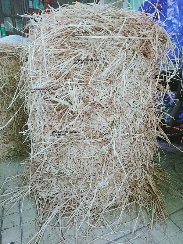 rơm vật liệu hữu cơ không thể thiếu rơm vật liệu hữu cơ không thể thiếu