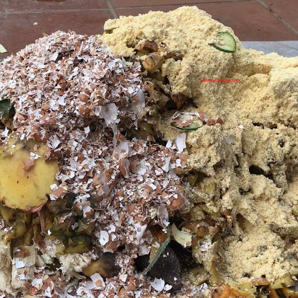 tận dụng rác từ nhà bếp để làm phân hữu cơ tận dụng rác từ nhà bếp để làm phân hữu cơ