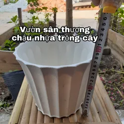Chậu Nhựa Trắng Dày, Khía Dọc 220*180 mm