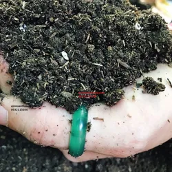 Đất trồng cao cấp dành riêng cho hoa hồng