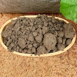 Đất thịt trồng cây_ bao 20-22kg